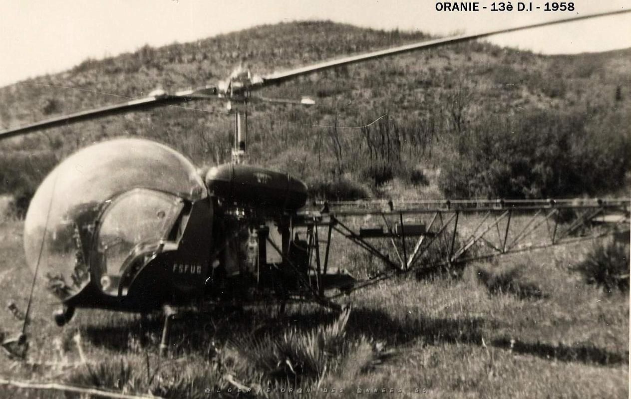 Palica - E- Divers 018.JPG